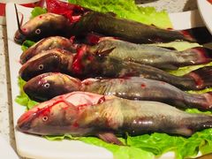 -大味生态火锅(蓝谷地店)