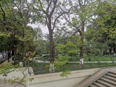 -成都市活水公园