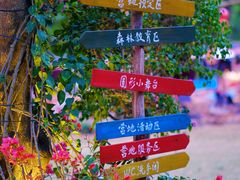 -莲花山公园