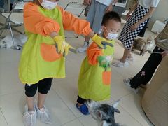 -怪兽屋·羊驼·猫咖·狗咖(俊华广场店)