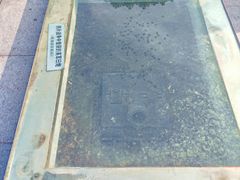 -上海吴淞炮台湾国家湿地公园