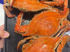 -初色海鲜自助(万丰路店)