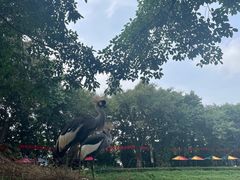 -广州长隆飞鸟乐园