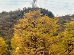 -零陵古城