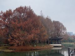 -巡塘古镇