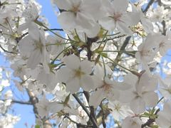 -江南大学(蠡湖校区)