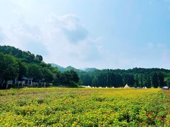 -紫海香堤香草艺术庄园