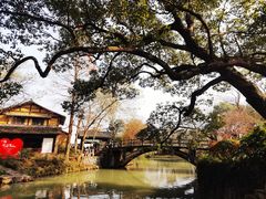 -西溪国家湿地公园