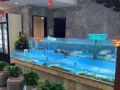 -饭怕鱼(阳光100店)