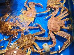 -盒马鲜生(顺义店)