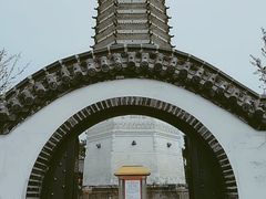 -舍利塔滩地公园-无垢净光舍利塔