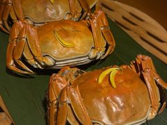 -成隆行·蟹王府(九江路店)