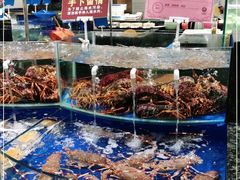 水产区-海景壹号大酒店(惠钱路店)