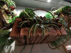 -越美小馆·越南料理(曲江店)