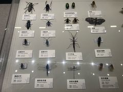 -四川大学博物馆