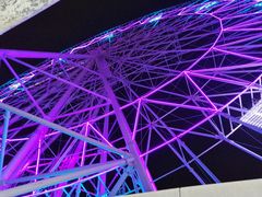 -弘阳·未来世界(弘阳广场店)
