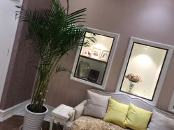 -UP&UP·半永久眉毛眼线机器野生眉