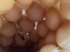 -利强记北角鸡蛋仔(弥敦道店 )