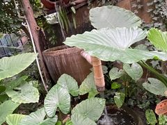 -金稼园·金平湖农家菜