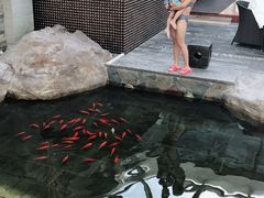 -和园景逸大酒店朗月汤泉
