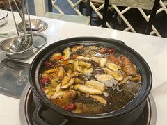 -蘑统田下·野生菌火锅