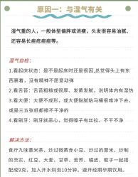 -Bollins波林丝•专研护发中心