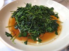 -席家花园(巨鹿花园店)