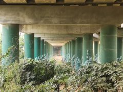 -灞河西岸滨河公园