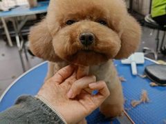 -转角宠物(转塘方家苑店)