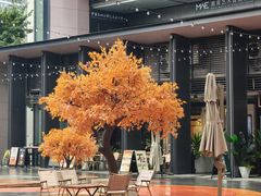 -OCT PARK欢乐时光