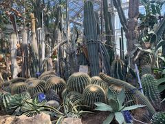 -国家植物园南园