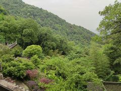 -韬光茶庵