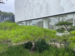 -罗红摄影艺术馆