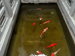 -鲤院·新中式美学·庭院餐厅(夫子庙店)