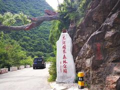 -黑河国家森林公园