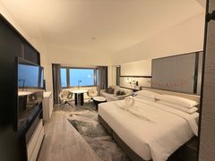 -新加坡乌节希尔顿酒店 (SG Clean)