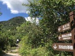 -阳台山自然风景区