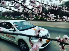 -乔森驾校(杨家坪总校)
