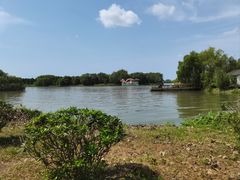 -溱湖国家湿地公园