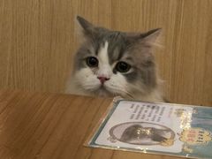 -猫和宫(六道口店)