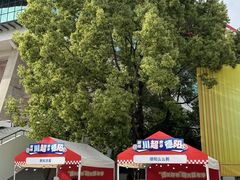 -德阳体育公园(旌阳街道)