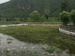 -百花人家(清水田园店)