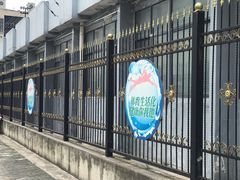 -杨浦温水游泳池