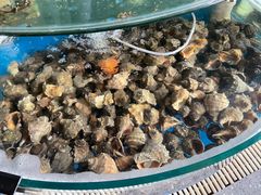 -蓝珊甄选海鲜自助·火锅大排档(近阿那亚店)