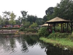 -成飞公园