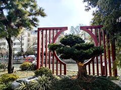 -月栖华明-云间草堂清茶馆(泗泾古镇店)