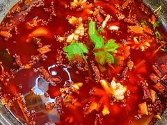 -重庆乌鱼庄·龙滋鲜(青羊大道店)