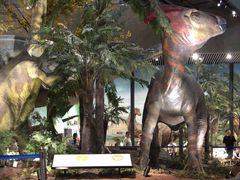 -湖南省地质博物馆