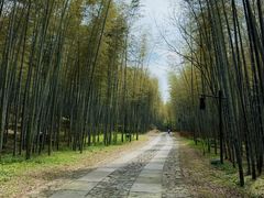 -黄公望隐居地
