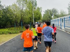 -绿堤公园